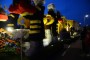 Thumbs/tn_Bloemencorso 2015 179.jpg